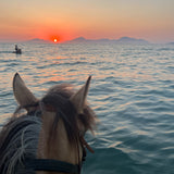 Yacht-Reise